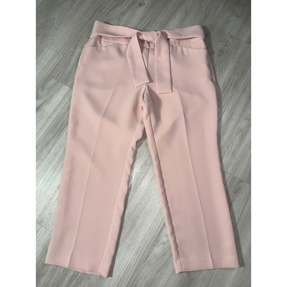 Ann Taylor Factory Pink Tie Waist Wide Leg Dress Pants Trousers 14 - Picture 2 of 11